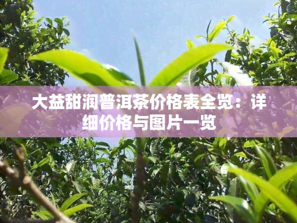 大益甜潤(rùn)普洱茶價(jià)格表全覽：詳細(xì)價(jià)格與圖片一覽