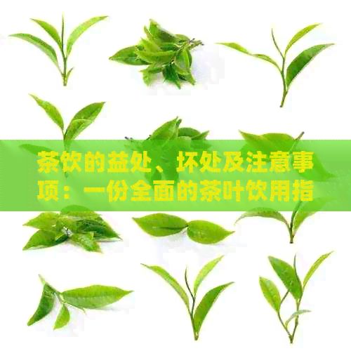 茶飲的益處、壞處及注意事項(xiàng)：一份全面的茶葉飲用指南