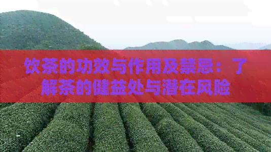 飲茶的功效與作用及禁忌：了解茶的健益處與潛在風(fēng)險