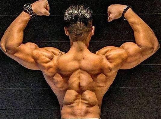 豆腐蛋白质含量这么高,健身的人为什么选择的是鸡胸肉、牛肉等