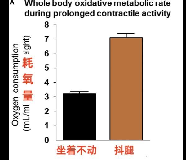 每天久坐的人，他們身體器官正在悄悄發(fā)生變化……