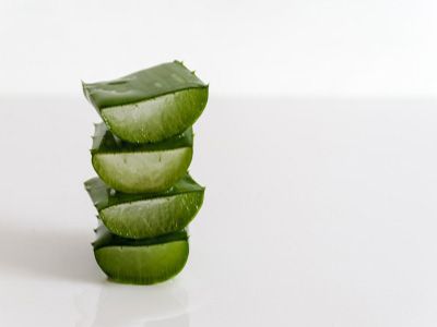 蘆薈11.jpg
