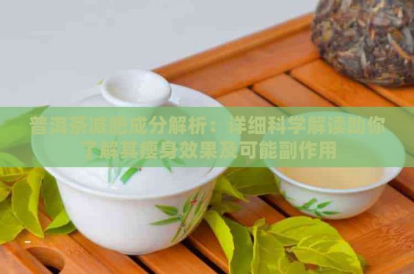 普洱茶减肥成分解析：详细科学解读助你了解其瘦身效果及可能副作用