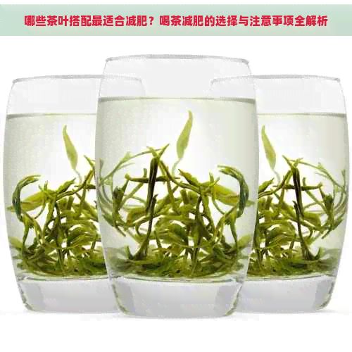 哪些茶葉搭配最適合減肥？喝茶減肥的選擇與注意事項全解析