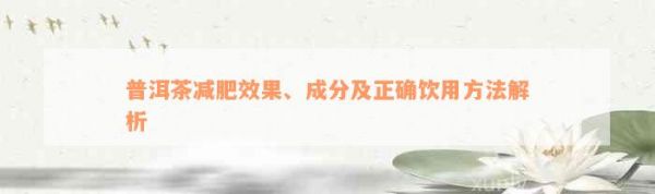 普洱茶減肥效果、成分及正確飲用方法解析