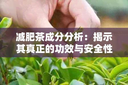 減肥茶成分分析：揭示其真正的功效與安全性，以避免誤導(dǎo)