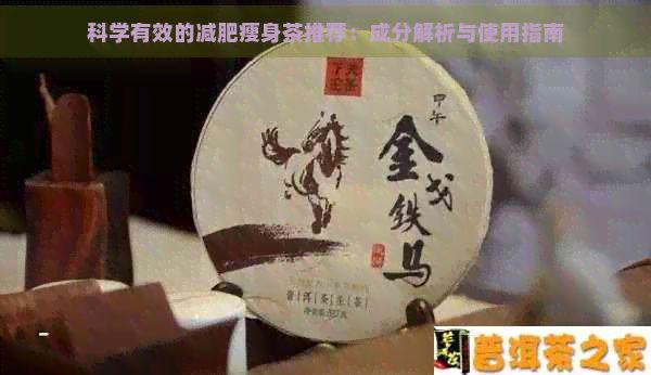 科學(xué)有效的減肥瘦身茶推薦：成分解析與使用指南