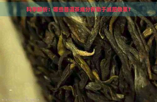 科學(xué)解析：哪些普洱茶成分有助于減肥效果？