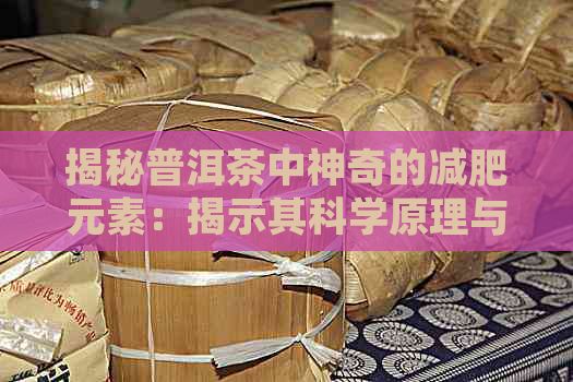 揭秘普洱茶中神奇的減肥元素：揭示其科學原理與作用機制