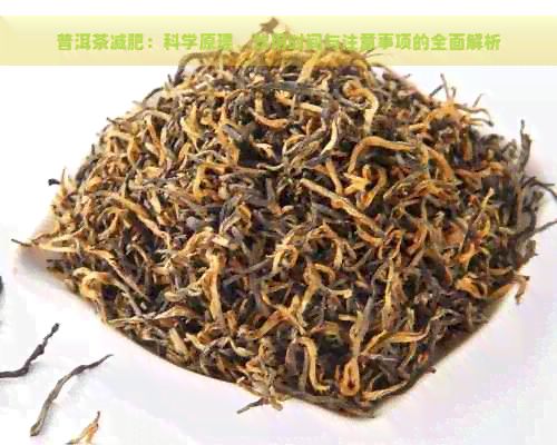 普洱茶減肥：科學原理、飲用時間與注意事項的全面解析
