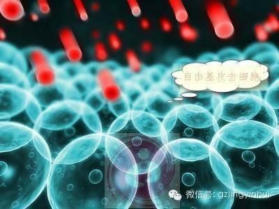 點(diǎn)擊查看原圖