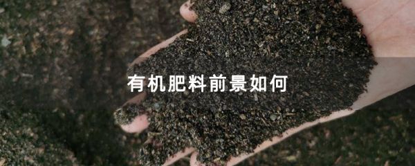 有机肥料前景如何