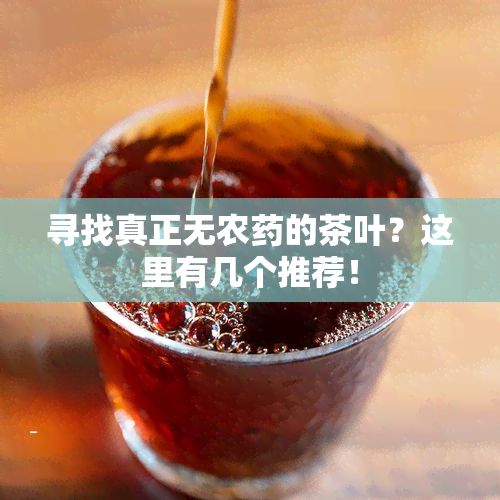 尋找真正無(wú)農(nóng)藥的茶葉？這里有幾個(gè)推薦！