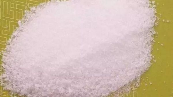 瘦天鵝：揭秘左旋肉堿與減肥，原來是一場美麗的誤會(huì)！