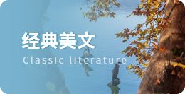我的日记（精选21篇）