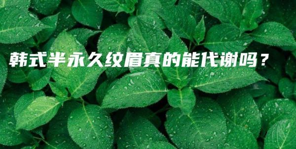韓式半永久紋眉真的能代謝嗎？插圖1