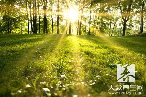 春季減肥慎防七個(gè)誤區(qū) 讓你減肥更有效