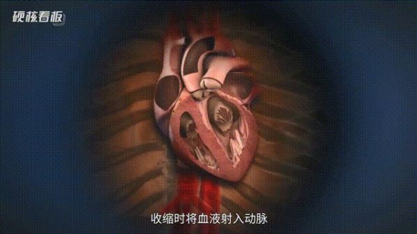一个年轻人的猝死全过程