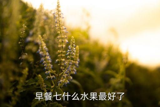 早餐七什么水果最好了