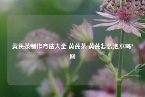 黄芪茶制作方法大全 黄芪茶 黄芪怎么泡水喝?图