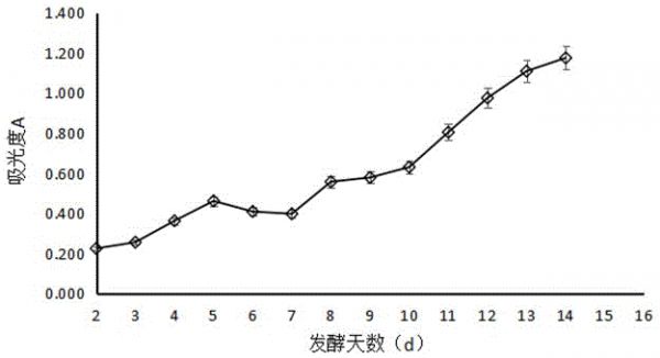 一種黃芪薄荷紅茶菌飲品及其制備方法與流程