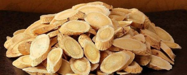 黃芪泡水搭配什么茶好 黃芪泡水和什么搭配好