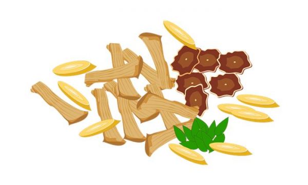 為何黃芪聲名遠(yuǎn)揚(yáng)？古今中外，5位名人都被黃芪所救