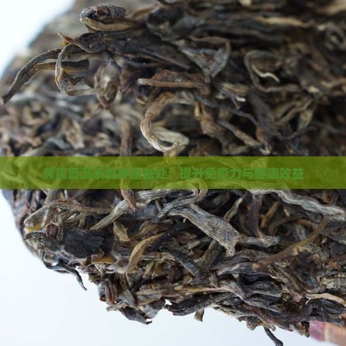 黃芪普洱茶的多重益處：提升免疫力與健康效益