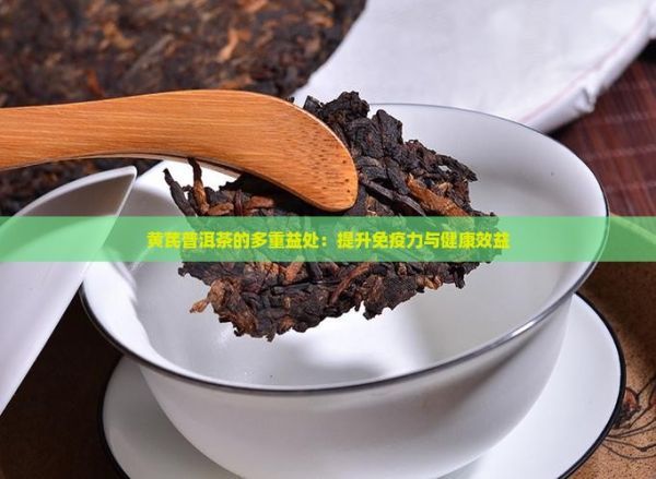 黃芪普洱茶的多重益處：提升免疫力與健康效益