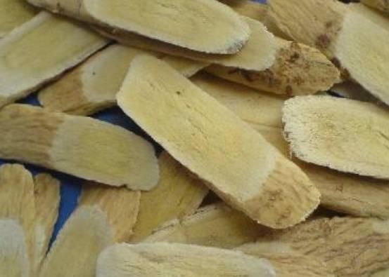 喝黄芪茶差点喝死了