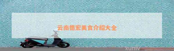 云南德宏美食介绍大全