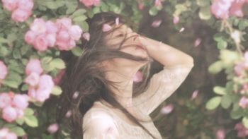 生活压力大？羡慕李子柒？5部剧20多本包含美食，木工花草，拍摄技巧的书籍让你在城市里过上田园风！