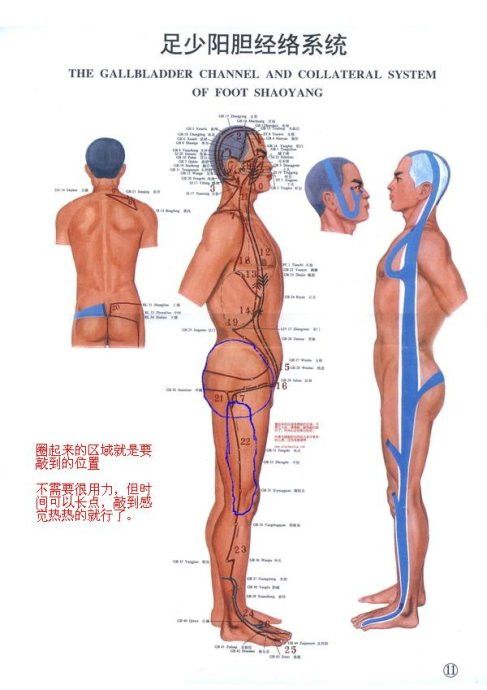 [轉(zhuǎn)載]敲膽經(jīng) 敲掉垃圾 敲除白發(fā)