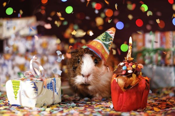 Para crear felicitaciones de cumpleaños originales para WhatsApp, podemos usar imágenes o gifs