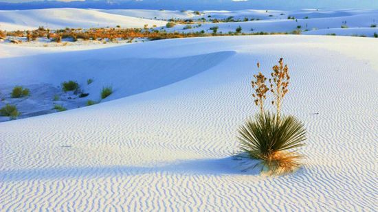 遠(yuǎn)離瘋狂醉酒夜：女伴健康出游七大勝地