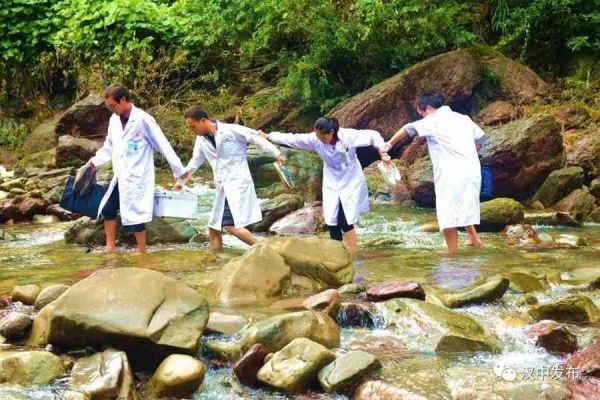 人工智能体检报告全方位指标解读与深度分析：全面解析健数据背后的秘密