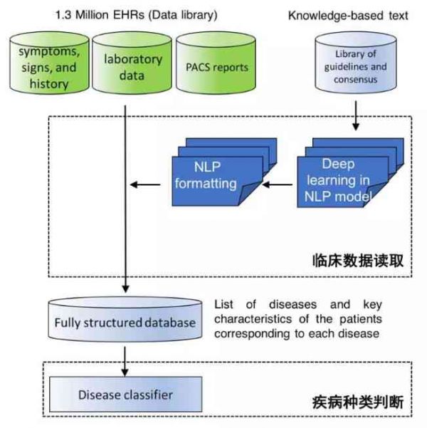 智能AI醫(yī)學(xué)報(bào)告深度解析與診斷輔助