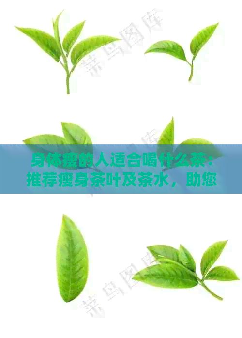 身体瘦的人适合喝什么茶：推荐瘦身茶叶及茶水，助您塑造完美体型。