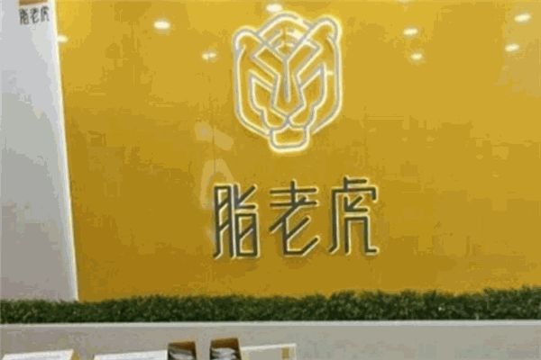 脂老虎健康減脂加盟