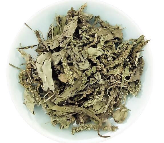 车前草的副作用及禁忌 详解副作用与禁忌人群