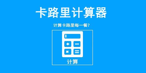 卡路里計(jì)算器