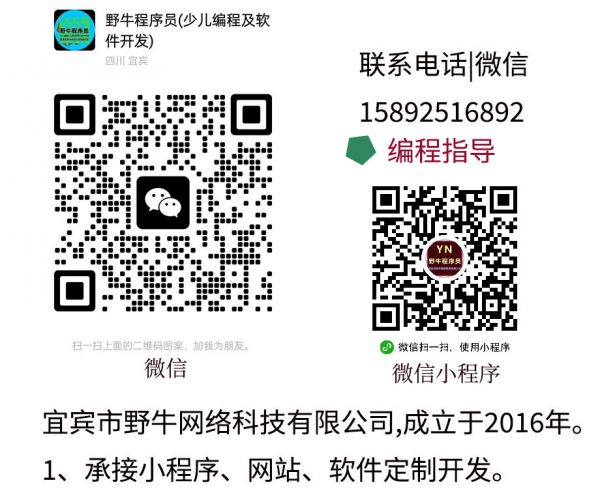 野牛程序員教少兒編程與信息學競賽-微信|電話：15892516892