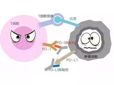 處理PD-1藥物副作用攻略大全