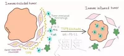 處理PD-1藥物副作用攻略大全