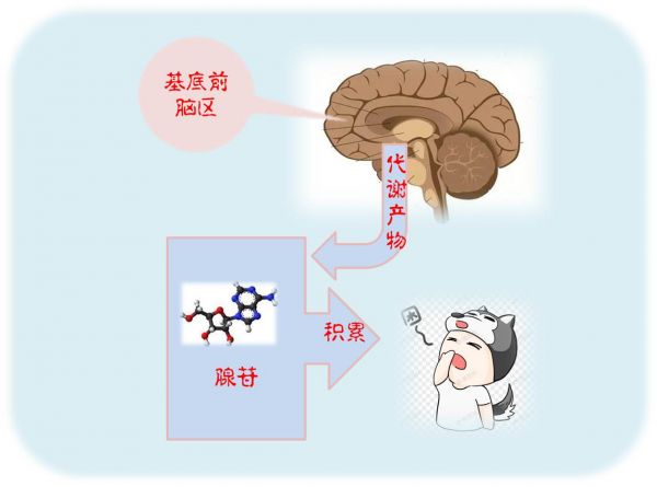 圖片123.jpg