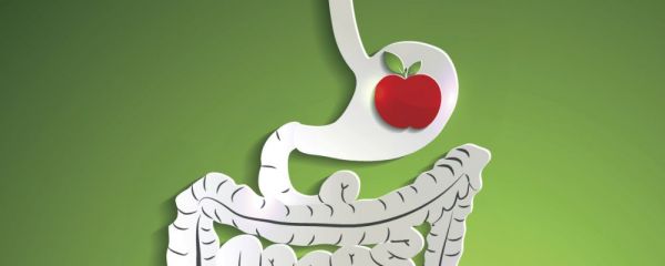 養(yǎng)胃護胃的運動有哪些 養(yǎng)胃護胃運動有哪些 養(yǎng)胃護胃的運動有什么