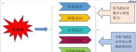 應對家庭變故的有效策略：從心理到實際操作指南