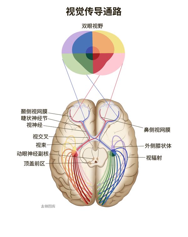75601667517673990