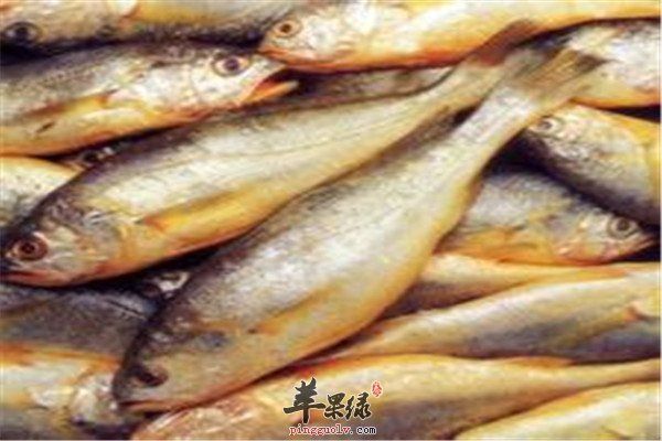 黃花魚.jpg