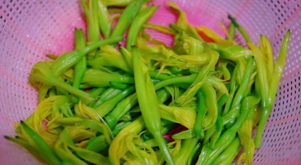 簡單易學(xué)的素炒黃花菜做法（健康美味一鍵搞定）